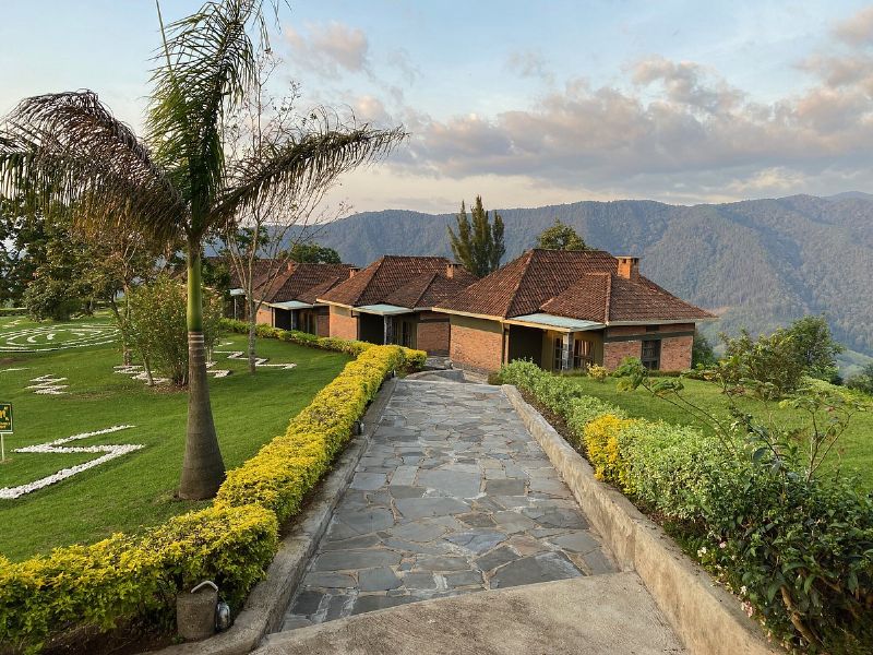 retfærdig Trunk bibliotek Mispend Kazinga Tours and Safaris - Uganda - Rwanda - Tanzania | Nyungwe top view  hill hotel