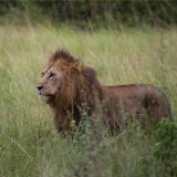 Best of Uganda & Tanzania (17 days) Best of Uganda & Tanzania (17 days)