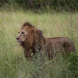 Best of Uganda & Tanzania (17 days)