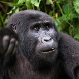 Photo Tour Uganda Photo Tour Uganda