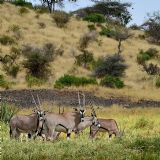 Northern Rift Kenya (9 days)