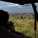 Kenya Maasai Mara - Fly In (5 days)