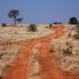 Safari Southern Circuit (7 days) Safari Southern Circuit (7 days)