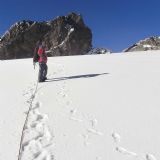 Hiking the Rwenzori (10 days)