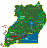 Bwindi & Queen Elizabeth National Park - Fly In (6 days)