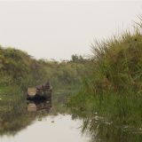 Mabamba Swamp and the Botanical Gardens (daytour)